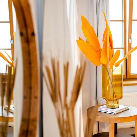 City Apartment In Der Bregenzer Innenstadt Dış mekan fotoğraf
